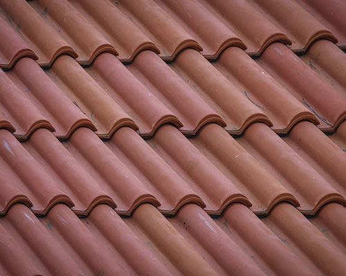 Roof Cleaning