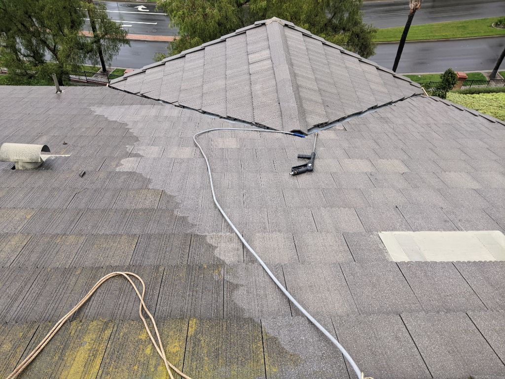 Professional roof cleaning laguna niguel ca