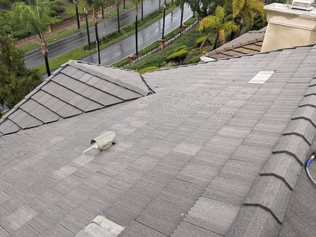 Professional Roof Cleaning in Laguna Niguel, CA