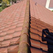 Roof Cleaning Laguna Niguel 2