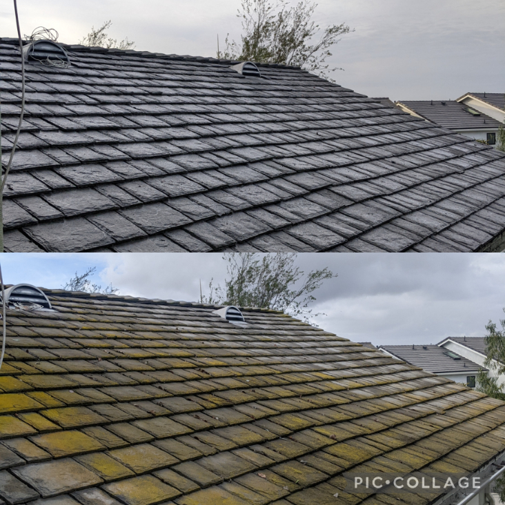 Roof Cleaning in Newport Beach, California