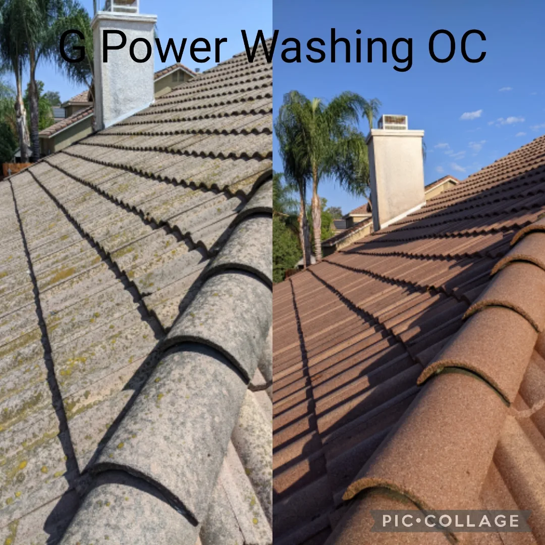 Roof Cleaning, Algae, Mold and Moss Removal in Costa Mesa, CA