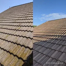Roof-Cleaning-Algae-Mold-and-Moss-Removal-in-Costa-Mesa-CA 0
